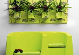 UWAGA ! DO JEDNORAZOWEJ PUBLIKACJI WNETRZA - GUZMANIA JEZYCZKOWATA ( GUZMANIA LINGULATA ) - ROSLINA TROPIKALNA , DONICZKOWA FOT. BIURO KWIATOWE HOLANDIA PUBLIKACJA BUKIETY NR 1 (52) - WIOSNA 2011 SLOWA KLUCZOWE: ROSLINA WNETRZE ZDJĘCIE DO WKŁADKI: PUBLIKACJA BUKIETY NR 1 (52) - CZASOPISMA