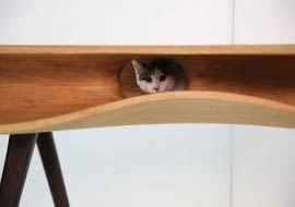 stół dla kota, mebel dla kota, koci mebel, nowoczesny stół