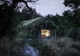 dom porośnięty zielenią, stylowy dom, oryginalny dom