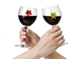 AKCESORIA BAROWE. No i zaczął się czas intensywnych, karnawałowych hulanek. Zróbmy rachunek sumienia, czy brak czegoś nie popsuje nam zabawy... <BR /> Zestaw uroczych markerów do kieliszków w kształcie kolibrów, które przydadzą się na każdej imprezie. Dzięki nim będziesz zawsze wiedział, który kieliszek należy do Ciebie. Wesołe ptaszki zdają się przysiadać i odpoczywać na brzegach kieliszka przed kolejnym lotem. W zestawie 6 kolorów ptaszków: czarny, zielony, żółty, różowy, biały, czerwony. 49 zł, celofan.pl