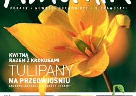 Okładka miesięcznika Kwietnik 02/2012