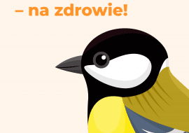 Ponad połowa Polaków dokarmia ptaki. Kampania “Dokarmiamy. Na zdrowie!” edukuje, jak robić to właściwie