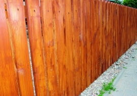 Krople żywicy na sosnowym płocie