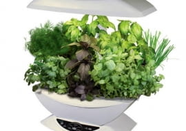 Nowoczesne herbarium AeroGarden. Po podłączeniu do prądu samo informuje nas, kiedy i jak trzeba zioła podlewać i nawozić. Nad ich uprawą czuwa bowiem mikroprocesor. Cena: ok. 680 zł, Toys4Boys