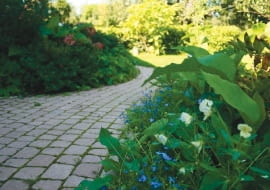 nawierzchnie,kostka betonowa,podjazdy,ścieżki