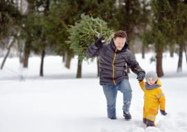 Wyprawa po drzewko świąteczne