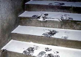 17.12.2002 WARSZAWA - OSNIEZONE SCHODY FOT. JERZY GUMOWSKI / AGENCJA GAZETA