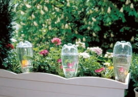 BALKON - SKRZYNKA Z KWIATAMI , PIELEGNOWANIE ROSLIN NA BALKONIE