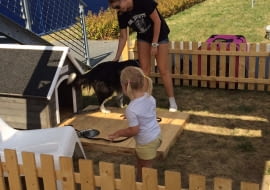 parking dla psów, gadżety, fajne miejsca