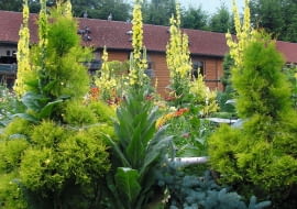 W centralnej części ogrodu znajduje się duży gołębnik dla gołębi pocztowych oraz ogrodowa altana.