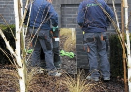 Montaż lustra w ogrodzie krok po kroku. 1. Lustro mocujemy w suchy ciepły dzień tak, by było lekko przechylone w bok i do dołu (pomyślmy o tym, wznosząc podporę). Wtedy przechodzień nie będzie mógł się w nim zobaczyć (i czar iluzji nie pryśnie).