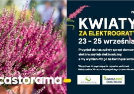 Kwiaty za elektrograty