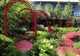 25.05.2011 LONDYN CHELSEA FLOWER SHOW NA ZDJECIU OGROD POKAZOWY ALEJKA , SCIEZKA , OCZKO WODNE DLA CZASOPISMA FOT. ARKADIUSZ SCICHOCKI / AGENCJA GAZETA SLOWA KLUCZOWE: OGROD