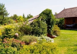 Nad schodami do piwniczki zbudowano daszek, który obniża się do poziomu nasypu kryjącego strop podziemnej budowli