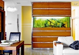 WNETRZA SALON AKWARIUM