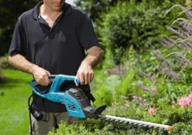 cięcie żywopłotu,nożyce do żywopłotu,żywopłot