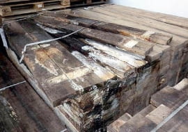 spleśniałe drewno, pleśń na drewnie