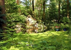 Sadzawka w leśnym ogrodzie. Szmer wody sprzyja leśnym klimatom