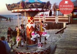 W miejskiej dżungli, Krynica Morska, design