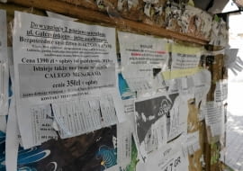 03.07.2013 Olsztyn . Ogloszenia stancji do wynajecia na tablicy ogloszeniowej w Kortowie .Fot. Przemyslaw Skrzydlo / Agencja GazetaSLOWA KLUCZOWE:stancja wynajem studenci mieszkanie