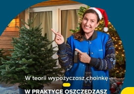 Świąteczna wypożyczalnia choinek w sklepach Castorama