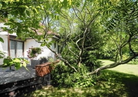 30.06.2012 Sekocin Nowy , ogrod dla miesiecznika " Magnolia - Ogrody " wlasciciele Marzena i Tadeusz Wrona Fot Wojciech Surdziel / wosu.pl SLOWA KLUCZOWE: OGROD DZIALKA MAGNOLIA OGRODY