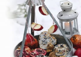 Vogelfutter - Tablett mit Fr´chten und Futter aus Backf^rmchen, Stepps: 218940, 218943, 218944, 218945 SLOWA KLUCZOWE: Balkon Futter f´ttern Garten Garten im Winter Idee Kreativ Kreatives Kreativ-Idee Schnee Tablett Vogel Vogelfutter Winter Winterbalkon winterlich