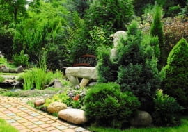 Iglaki będą zdobić ogród cały rok, jeśli tylko odpowiednio o nie zadbamy.