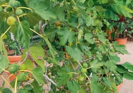 7$qU+&L,p{PCv6Yu?\K,C