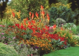 8Hot border with Kniphofia, Dahlia, Monarda and Rudbeckia