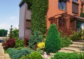 OGROD PRYWATNY PRZY SZEREGOWIEC DOM CEGLA KLINKIER SCHODY TARAS OKNO ROLETY ANTYWLAMANIOWE PERGOLA PLOT DREWNIANY OGRODZENIE DRFEWNIANE NAWIERZCHNIA KAMIENNA KOSTKA GRANIT TUJA THUJA ZYWOTNIK JALOWIEC JUNIPERUS KOMPOZYCJA KRZEWOW IGLAKI PNACZE PARTHENOCISSUS TRICUSPIDATA WINOBLUSZCZ TROJLISTKOWY FOT. MICHAL SKORUPSKI SLAJD DUZY PUBLIKACJA OGRODY NR 3 (71) - 3.2005