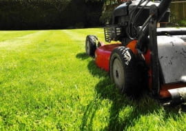 SONY DSC SLOWA KLUCZOWE: lawn mower lawnmower mowing mow green grass lawnmowing landscaping maintenance grounds landscape gardening machinery cut prune sod turf backyard work home house labour labor gardener garden ride on park parks landscaper horticulture horticulturist worker man mowed mown grow growth summer spring sun sunshine health gardens plant organic growing botany yard