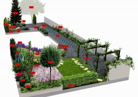 Projekt ogrodu w cieniu topoli