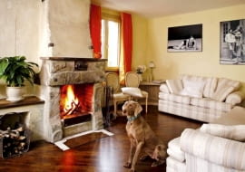 WNETRZA POKOJ DZIENNY SALON KOMINEK MEBLE ZWIERZETA PIES WYZEL