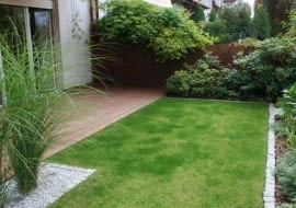 Mały ogród przy szeregowcu.