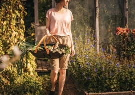 Warzywnik dla początkujących