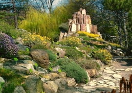 ALPINARIUM SKALNIAK ROSLINA SKALNA KAMIEN SKALA BLOK SKALNY NAWIERZCHNIA KAMIENNA