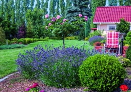 Lawendy i róże posadzono bliżej tarasu, a w bogatą otulinę ogrodowego wnętrza wpisano kolorowe liściaste krzewy.