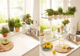 Zielnik w kuchni krok po kroku