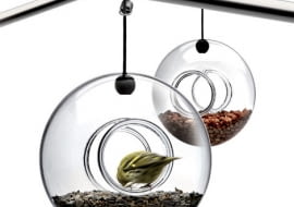 Karmnik dla ptaków, Eva Solo