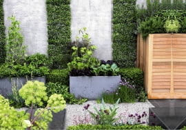 Contemporary courtyard garden with raised vegetable beds and a living wall of Pratia pedunculata SLOWA KLUCZOWE: Beete Beh lter Bepflanzung Blumen Buxus Garten Gem´se Gew´rzpflanzen Hof Kies Kr uter Metall Pl tze Stadt Vierecke anpflanzen bepflanzen beschnitten bl´hend einpflanzen Schotter urban vertikal <bert^pfe Querformat