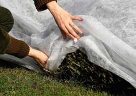 12.10.2005 WARSZAWA BYLINIARNIA SZKOLA GLOWNA GOSPODARSTWA WIEJSKIEGO ( SGGW ) PRACE OGRODOWE PORZADKOWE KROK PO KROKU JESIEN FOT. WOJCIECH SURDZIEL / AGENCJA GAZETA KWIETNIK NR 11 (143) - 11 2006 SLOWA KLUCZOWE: OGRODNICTWO ZDJĘCIE DO WKŁADKI: KWIETNIK NR 11 (143) - CZASOPISMA