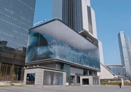 Ogromne akwarium z falami w Seulu? To iluzja! Szuka na gigantycznym ekranie LED