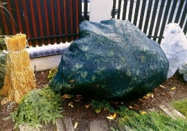 OKRYWANIE PIELEGNACJA JESIEN WLOKNINA ROZANECZNIK RODODENDRON RHODODENDRON KRZEW LISCIASTY ZIOMOZIELONY FOT. PATRYCJA KORCZAK WODNICKA PUBLIKACJA OGRODY NR 10 (54) - 10.2003