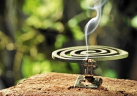 shutterstock_113463280_Stocksnapper