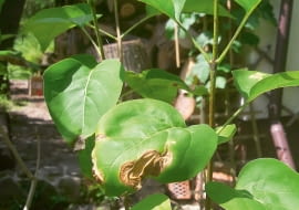 IGp{oqk1kw U/UpeEc{m:O;gVZ4HnMVz58]7V_WH!z}&Wg@#?Qm0SpcHa3izm&s}@OlhADZl:G9kADt|.mW5Z[Q1u^c=BC=[Ww=pwSNwm_Ce_kMNmp9ycIvmld