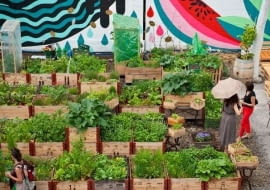 Ogród Pani Gerolds (Frau Gerolds Garten), Zurych, źródło: www.fraugerold.ch