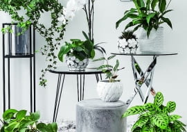 Wybór donic, osłon i kwietników do roślin jest naprawdę imponujący. Możemy przebierać wśród najróżniejszych kolorów, faktur i wzorów oraz materiałów, z których są wykonane.