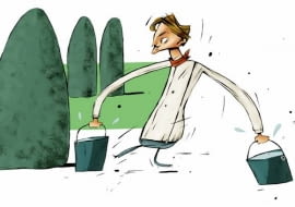 Iglaki i krzewy zimozielone podlewamy intensywnie, aby je dobrze napoić przed zimą