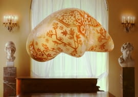 PrzyjacieleMNW Olga Wolniak